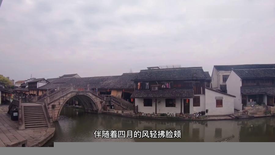 拯救精灵的土地9